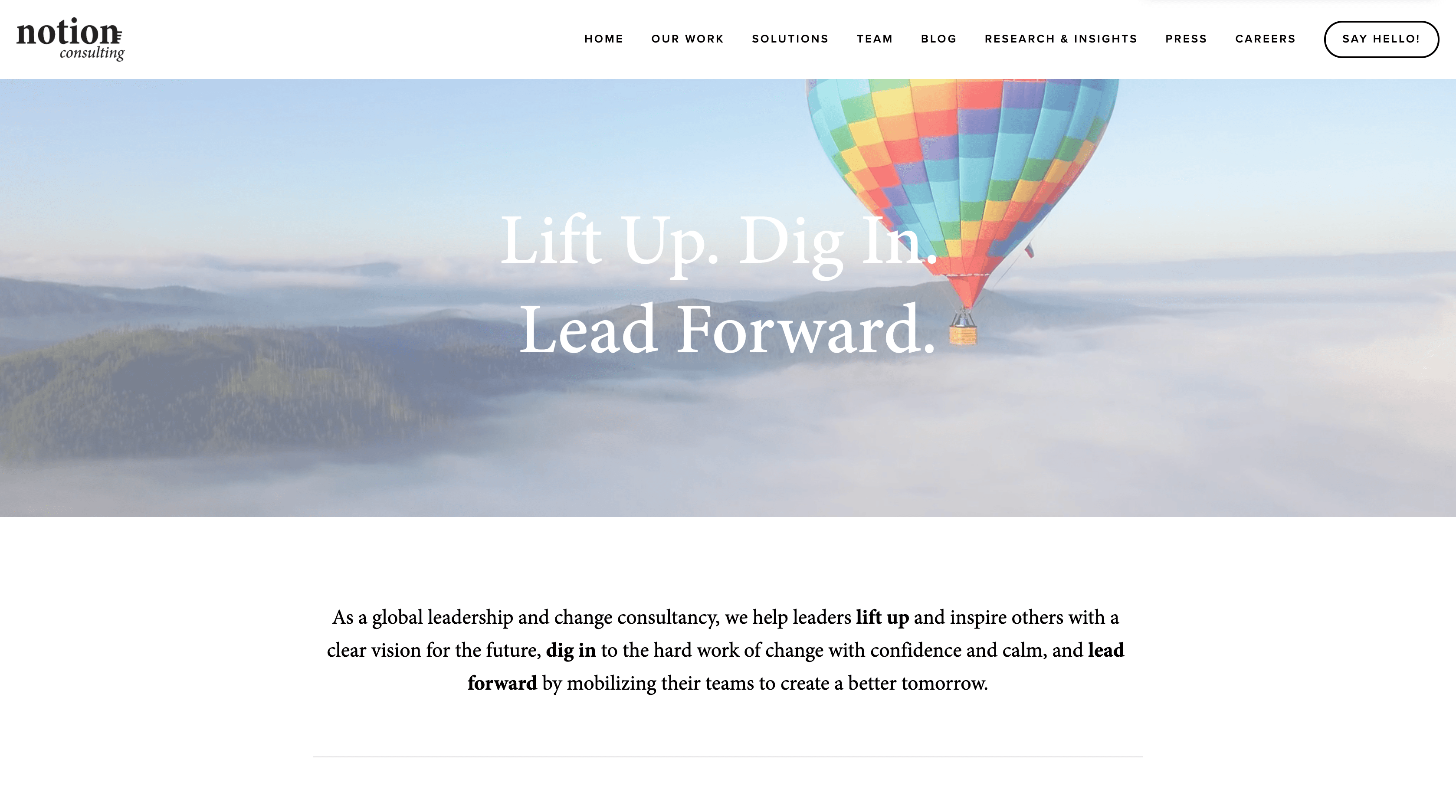 Notion Consulting professional services website